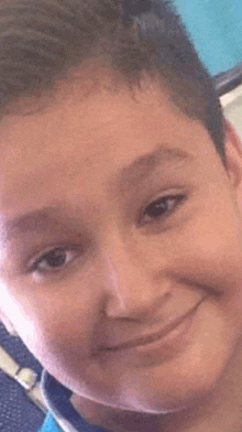 a close up of a young boy 's face smiling for the camera .