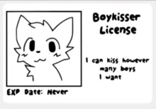 a boy kisser license that says i can kiss however many boys i want expiration date never