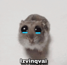 a hamster with tears coming out of its eyes and the words izvinqvai above it