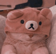 a cat wearing a pink teddy bear hat is sitting on a bed .