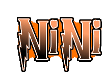 a logo that says nini with a lightning bolt in the middle