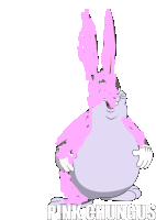 a cartoon of a bunny with the name pink chungus written below it