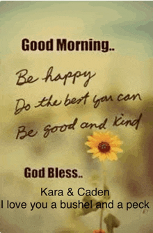 a good morning message with a picture of a sunflower and the words " be happy do the best you can be good and kind "