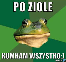 a picture of a frog with the words po ziole written above it