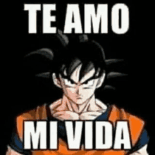 a picture of a man from dragon ball z with the words `` te amo mi vida '' written on it .