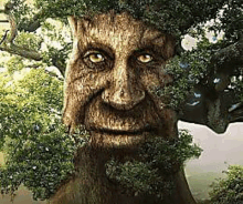 a tree with a face carved into it