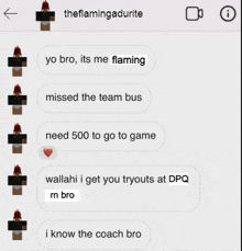 a screenshot of a text conversation between the flamingadurite and another person