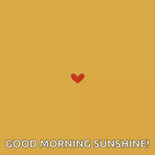 a heart made of sunflowers and the words good morning sunshine