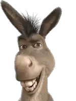 a close up of a donkey 's face against a white background