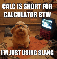 a dog wearing glasses says calc is short for calculator btw and i 'm just using slang