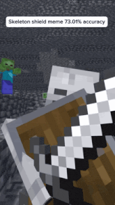 a screenshot of a video game with a skeleton shield meme 73.01 % accuracy