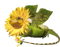 a lizard with wings and a sunflower on it 's head