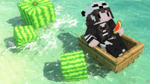 a minecraft character in a boat with watermelon blocks