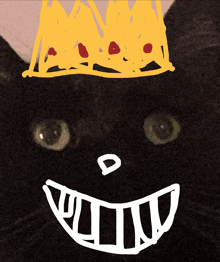 a drawing of a cat with a crown on it