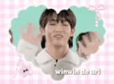 a picture of winwin de ari on a pink and green background