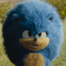 a close up of a stuffed sonic the hedgehog in a field .