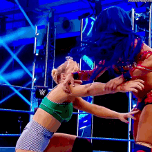 two women are wrestling in a wrestling ring with a w logo in the background .