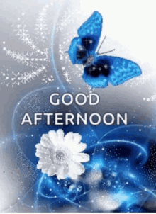 a blue butterfly is flying over a white flower with the words good afternoon