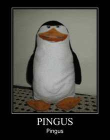 a poster of a stuffed penguin with the name pingus written on it