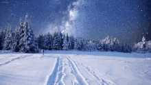 a snowy field with trees in the background and a starry night sky