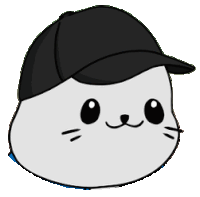 a white cat wearing a black baseball cap