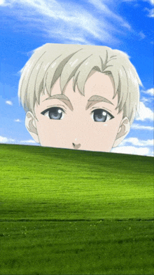 a boy 's head is sticking out of a field of grass