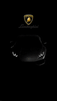 a black lamborghini car with a gold logo