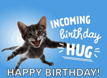 a birthday card with a cat and the words incoming birthday hug