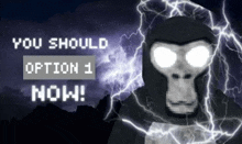 a picture of a gorilla with lightning and the words " you should option 1 now " below it