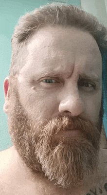 a man with a beard looks at the camera