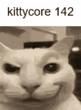 a close up of a cat 's face with the words kittycore 142 above it .