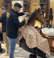a man in a black jacket that says ladies barbers is cutting a horse 's mane