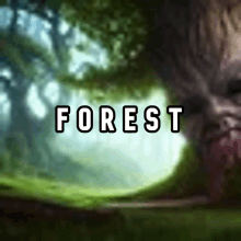 a painting of a forest with the word forest written in white