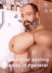 a man with huge breasts is sitting in front of a refrigerator and asking people to stop posting memes in #general