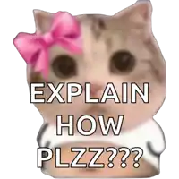 a picture of a cat with a pink bow and the words " explain how plzz "