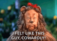 a lion from the wizard of oz says " i felt like this guy cowardly ! "