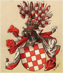 a drawing of a coat of arms with a red and white checkered coat of arms .