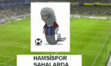 a cartoon of a whale wearing a striped shirt is playing soccer on a soccer field .