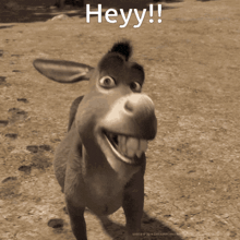 a cartoon donkey is smiling with the words heyy behind it