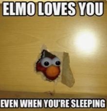 elmo loves you even when you 're sleeping ..