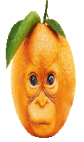 an orange with a monkey face and a green leaf