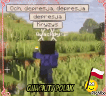 a picture of a person in a video game with the name quackity polak