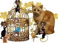 a cat sitting next to a bird cage with a hamster and a blue bird in it