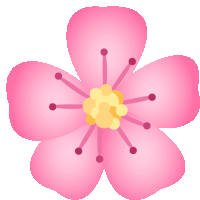 a close up of a pink flower with a yellow center on a white background