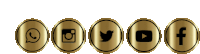 a set of social media icons in gold circles including instagram twitter youtube and facebook