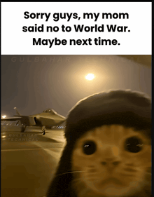 a picture of a cat with the words " sorry guys my mom said no to world war maybe next time "