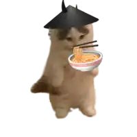 a cat wearing a hat is eating noodles with chopsticks .