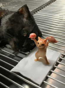 a cat laying on a cage next to a toy cat holding a piece of meat