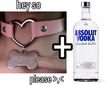 a bottle of absolut vodka sits next to a puppy tag
