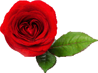 a red rose with a heart shaped center and a green leaf